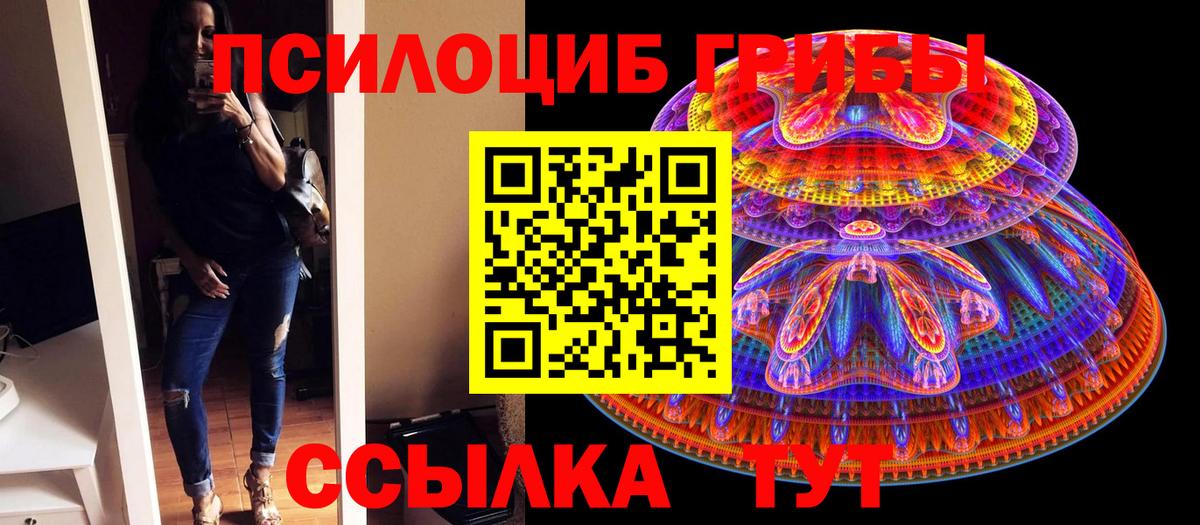 Галлюциногенные грибы Cubensis  Вход с VPN  Великий Новгород 
